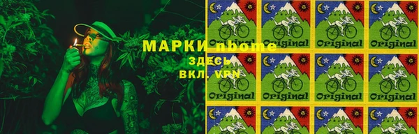твердый Алзамай
