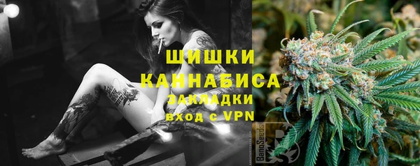 ГАЛЛЮЦИНОГЕННЫЕ ГРИБЫ Алексин